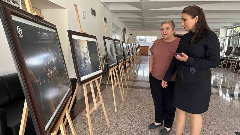 TÜRK STANDARTLARI ENSTİTÜSÜ'NDE (TSE),