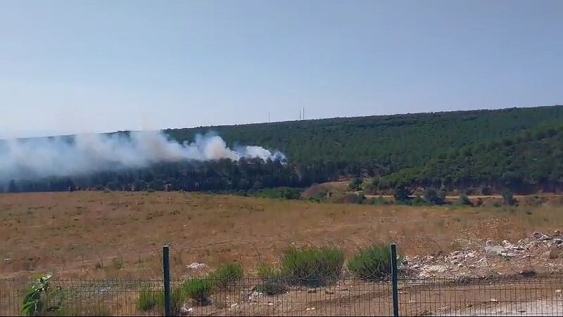 Yalova’da 2 ayrı noktada orman yangını