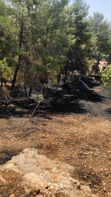 ADIYAMAN’DA, MEYDANA GELEN KURU