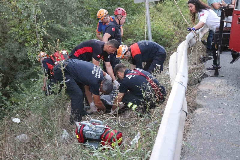 SAKARYA’NIN ADAPAZARI İLÇESİ D-020