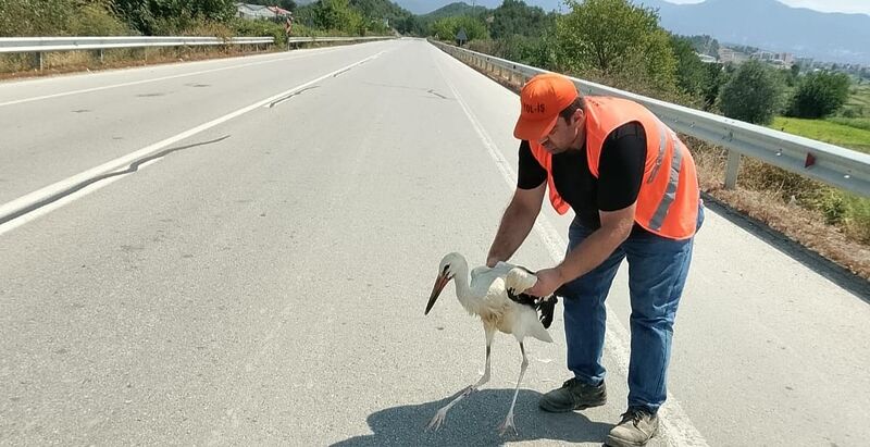 SİNOP'UN BOYABAT İLÇESİNDE YOL