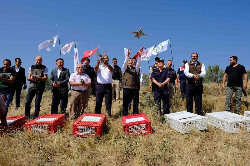 Yozgat’ta 800 kınalı keklik doğaya salındı