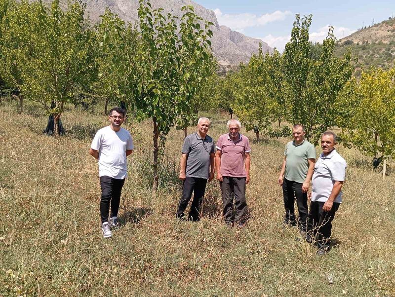 74 YAŞINDAKİ KEMALİYELİ ÖĞRETMEN