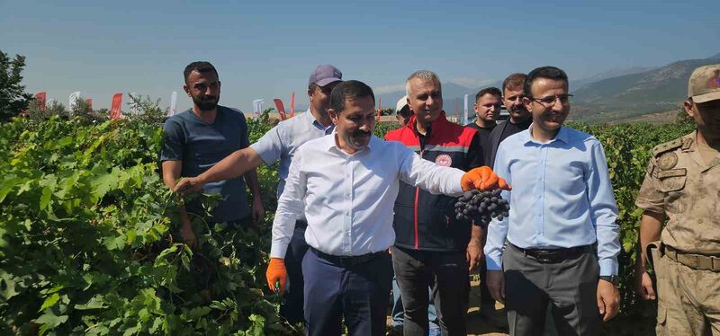 HATAY’IN HASSA İLÇESİNDE YAKLAŞIK