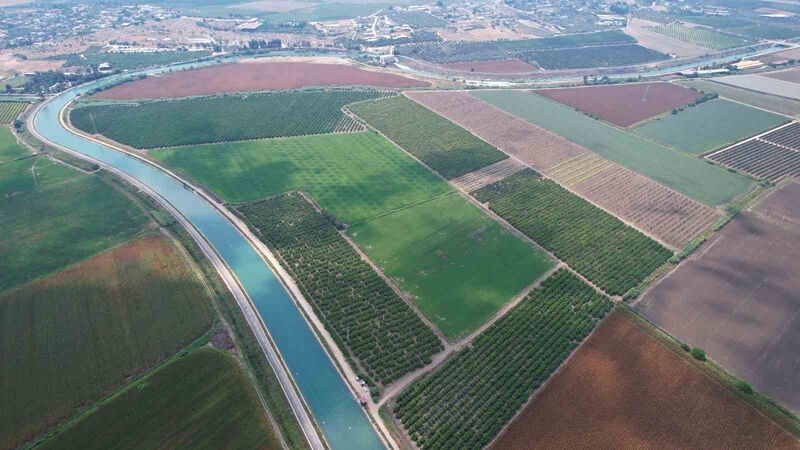 ADANA'NIN ÇUKUROVA BÖLGESİNDE YAŞANAN