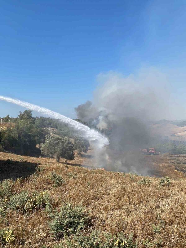 ADANA'DA ORMANLIK ALANA SIÇRAYAN