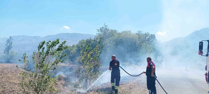 ERZİNCAN’DA AĞAÇLIK ALANDA ÇIKAN