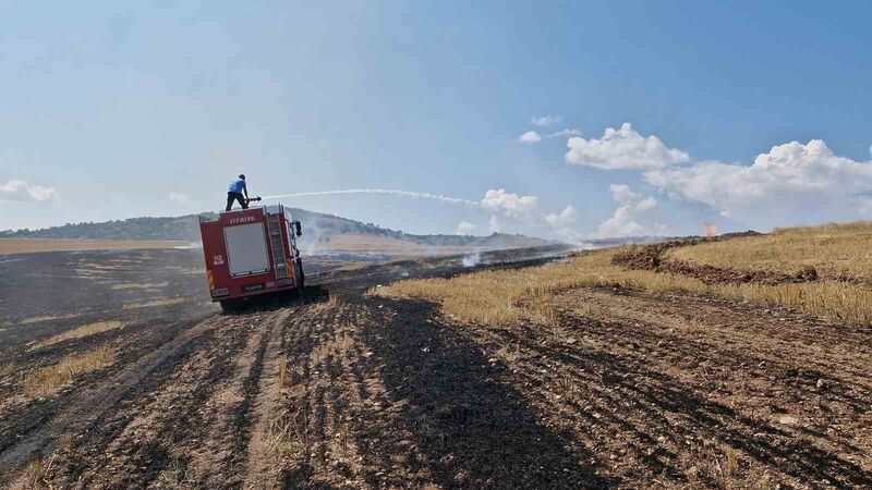 Anız yangını ormanlık alana sıçramadan söndürüldü