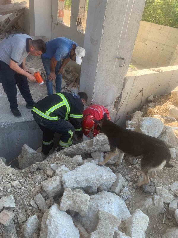 HATAY’DA YAVRULARI ENKAZ ARASINDA