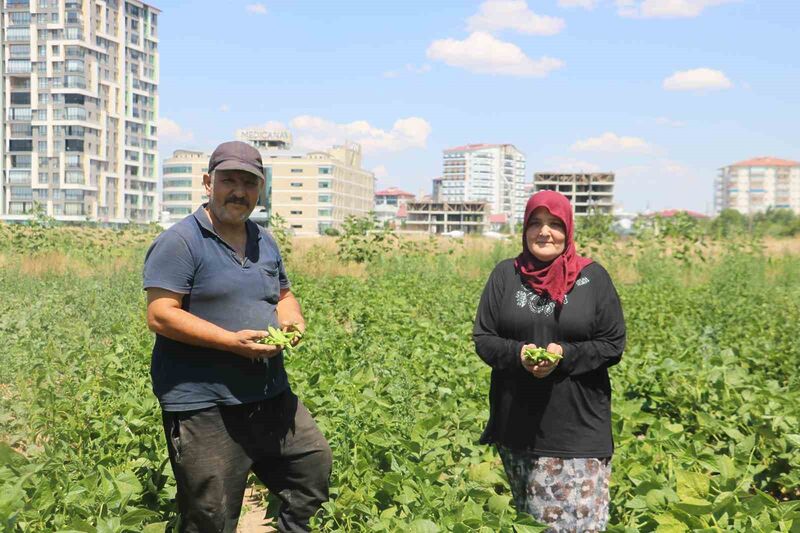 SİVAS’TA YAŞAYAN ADEM HELVACIOĞLU