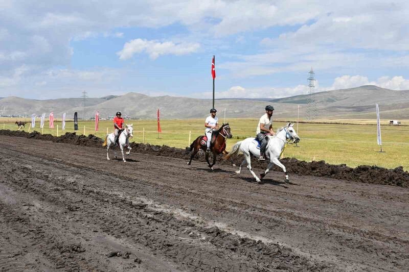 Ardahan’da Rahvan Atları Yarışları’nda final heyecanı