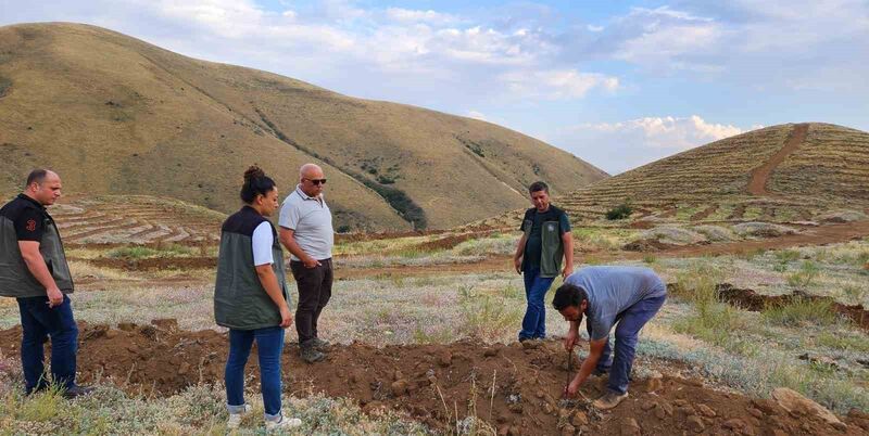 ERZURUM ORMAN BÖLGE MÜDÜRÜ