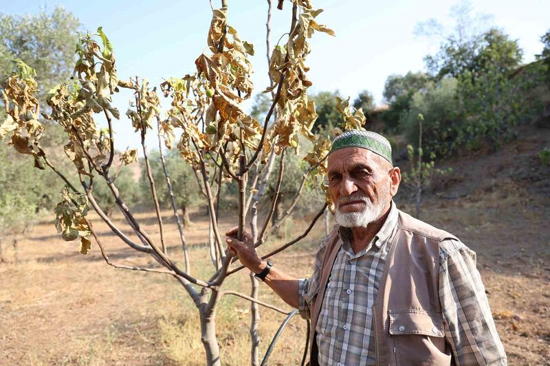 TÜRKİYE'NİN EN VERİMLİ TOPRAKLARINA