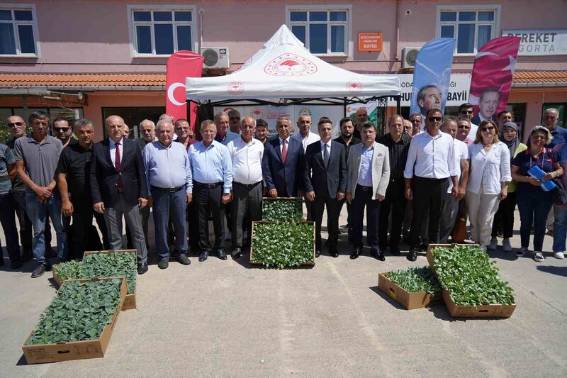 SAMSUN’DA ÇİFTÇİLERE YÜZDE 75