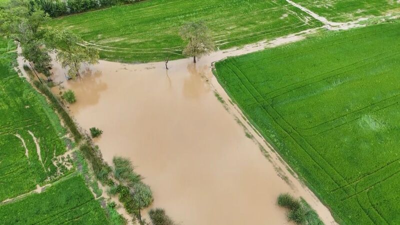 SAMSUN'DA ETKİLİ OLAN SAĞANAK