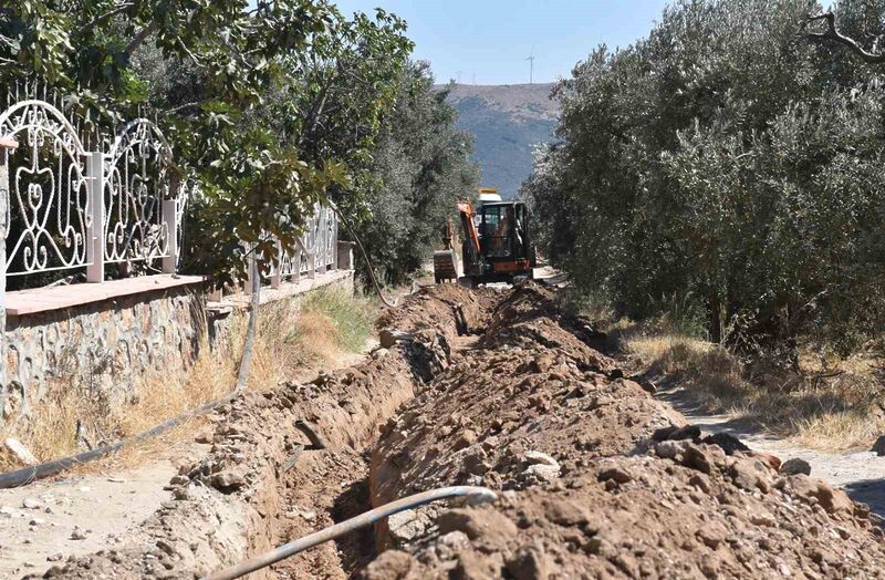 Balıkesir’de, 80 bin zeytin ağacı suyla buluştu