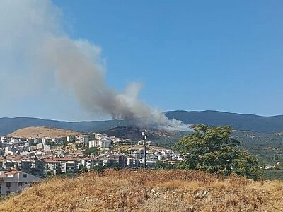 BALIKESİR’İN ERDEK İLÇESİNDE ORMANLIK