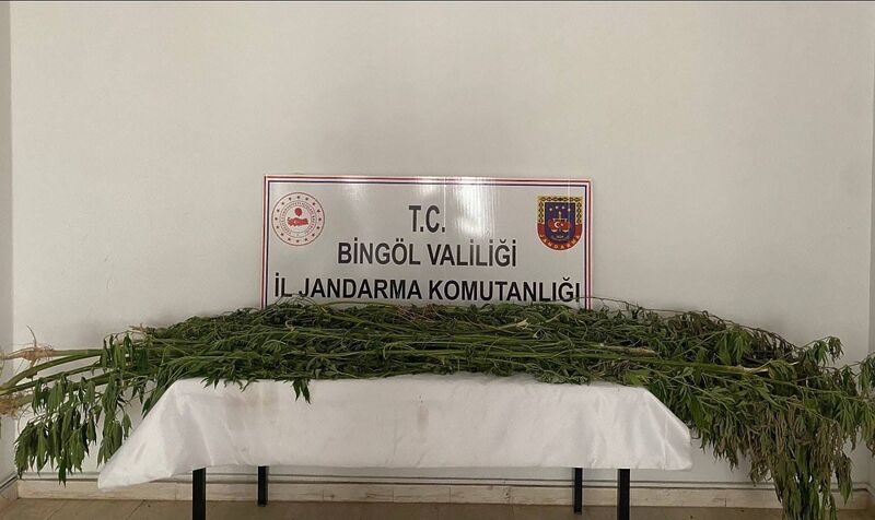 BİNGÖL’DE JANDARMA EKİPLERİNCE YAPILAN