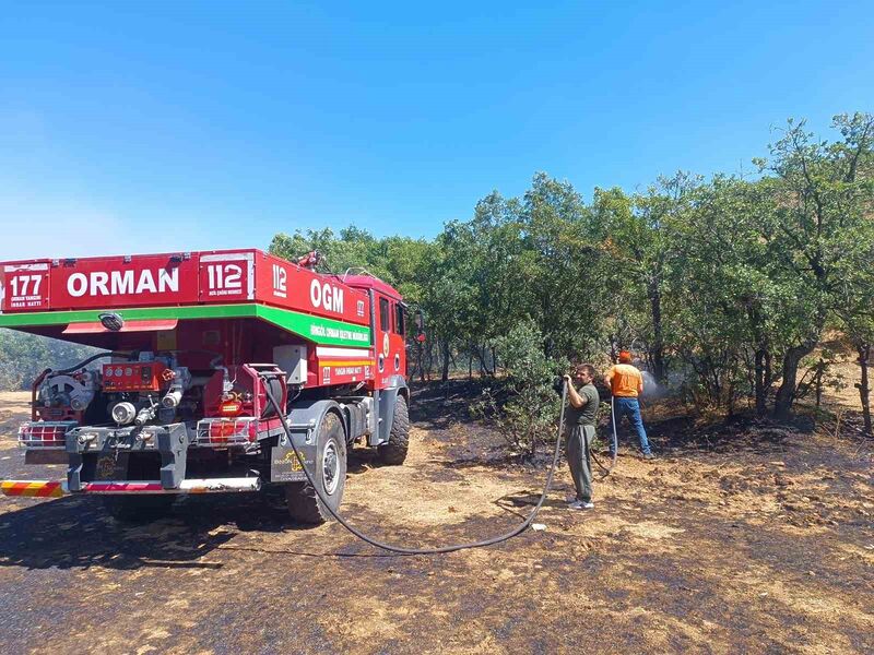 Bingöl’de 6 bölgede çıkan yangınlar söndürüldü