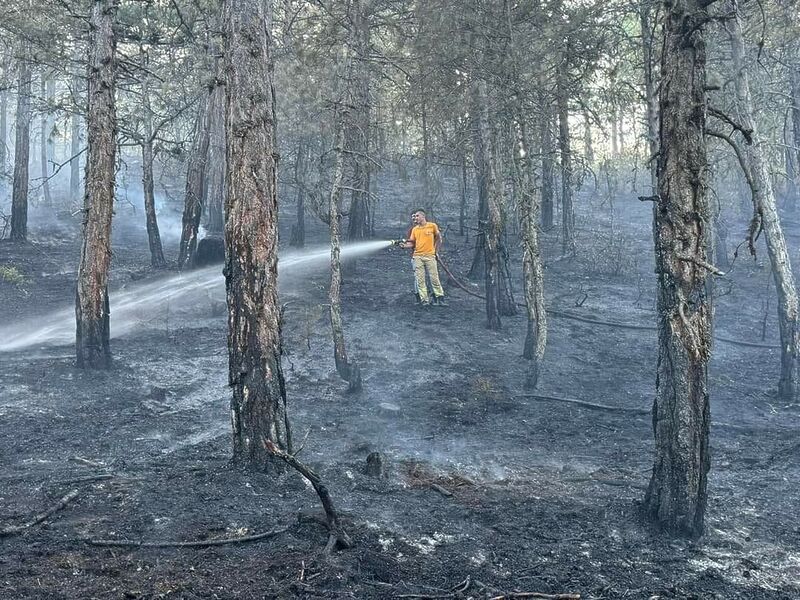 BOLU’NUN MUDURNU İLÇESİNDE ORMANLIK