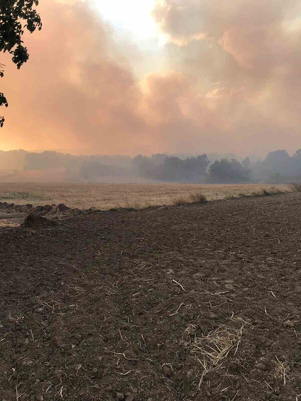 Bulgaristan sınırında çıkan yangın Edirne’nin köylerine ilerliyor