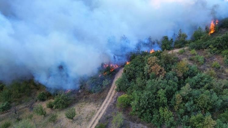 BURSA’DA ÇIKAN ORMAN YANGINI