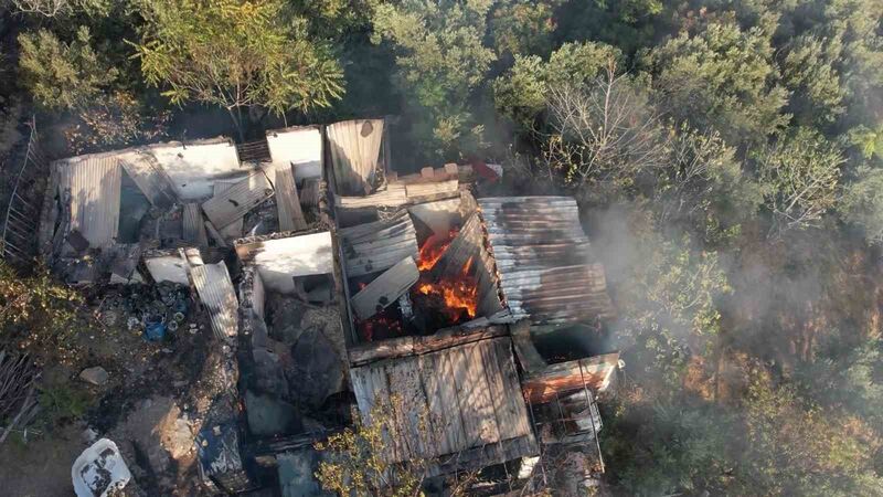 Bursa’da zeytinlik alandaki yangın söndürüldü