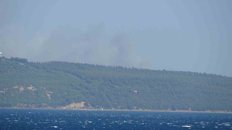 Çanakkale’de orman yangını