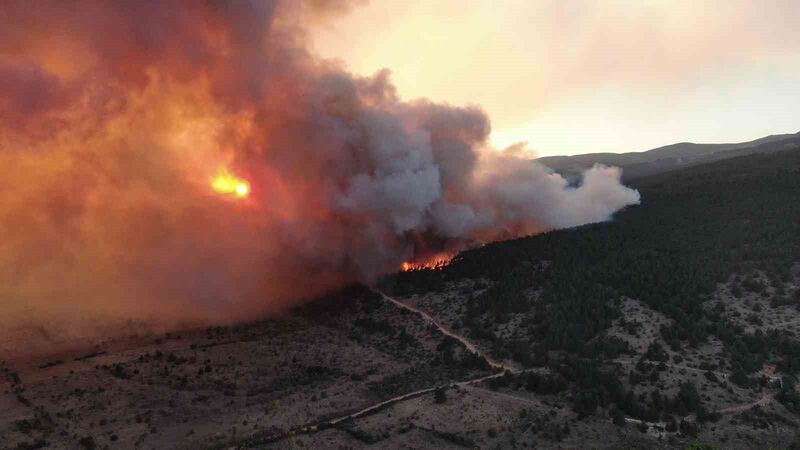 ÇANKIRI'NIN ILGAZ İLÇESİNDE ÇIKAN