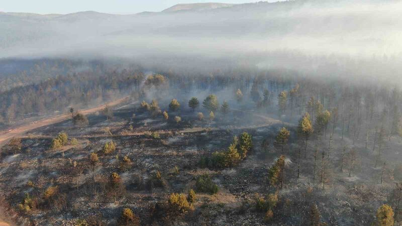 ÇANKIRI’NIN ILGAZ İLÇESİNDE ÇIKAN