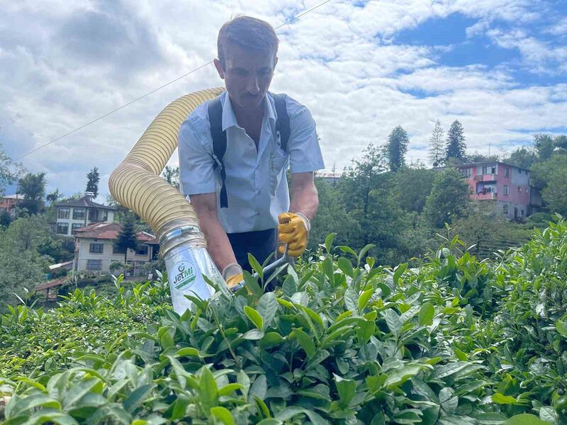 Çay toplamayı kolaylaştıran Rizeli şimdi de kesilen çayları taşıma sorununu çözdü