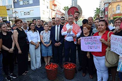 MANİSA'DA CHP'NİN DOMATES ÜRETİCİLERİNE