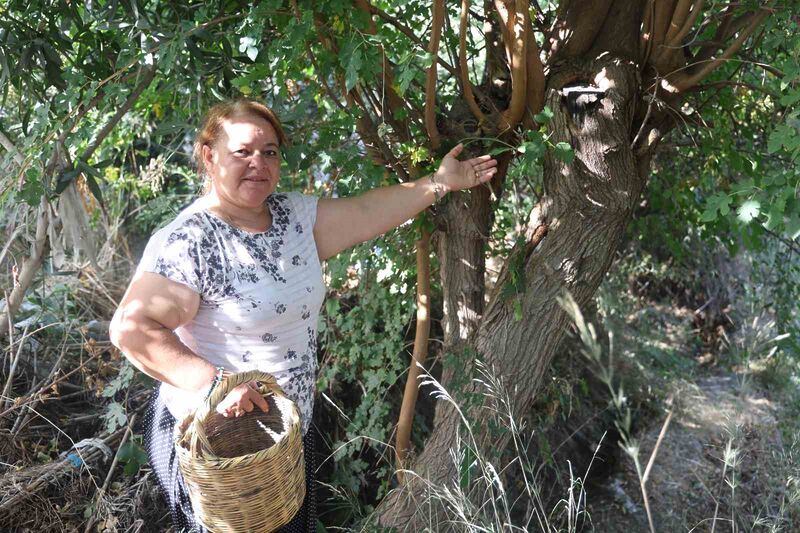 HATAY’IN ANTAKYA İLÇESİNDE YAŞAYAN