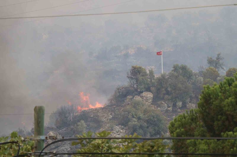 AYDIN'IN GERMENCİK İLÇESİNDE BAŞLAYARAK