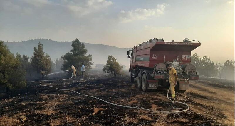 DENİZLİ’NİN ÇİVRİL İLÇESİNDE ORMANLIK