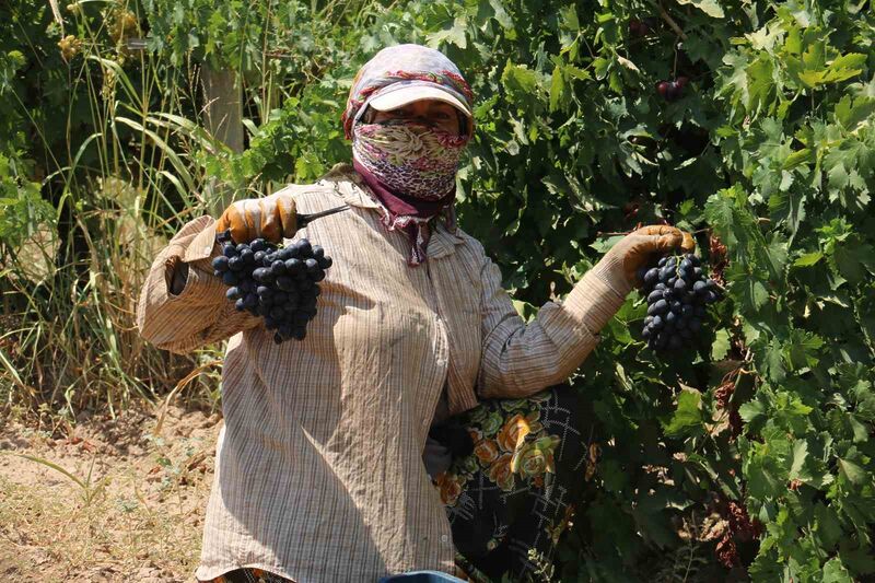 HATAY’IN LEZZETİYLE ÜN SALAN