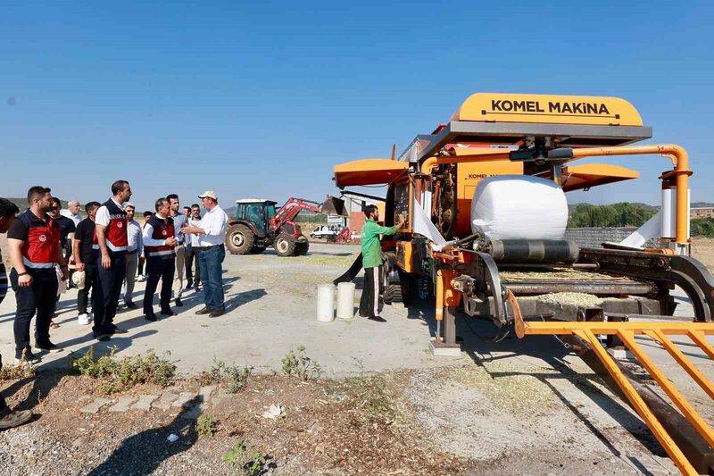 Devlet desteğiyle çiftçinin masrafı azaldı, silajlık mısır üretimi 128 bin tona ulaştı