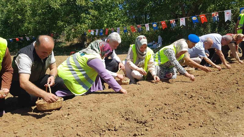 UNESCO DÜNYA MİRASI LİSTESİ’NDE