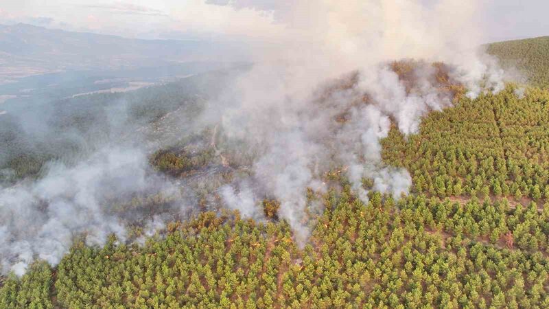 TOKAT'IN ERBAA İLÇESİNDE ÇIKAN