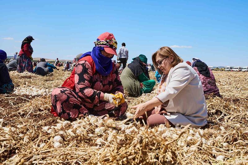 Gaziantep’te “Haydi Tarladan Sofraya” projesi ile çiftçi ile tüketici buluşturulacak