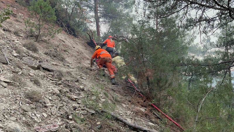 BOLU'NUN GÖYNÜK İLÇESİNDE ÇIKAN