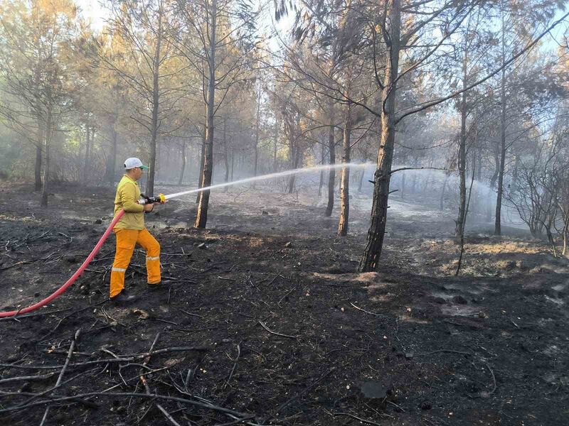 HATAY’DA ÇIKAN ORMAN YANGINI