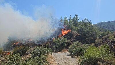 HATAY'IN ANTAKYA İLÇESİNDE ÇIKAN