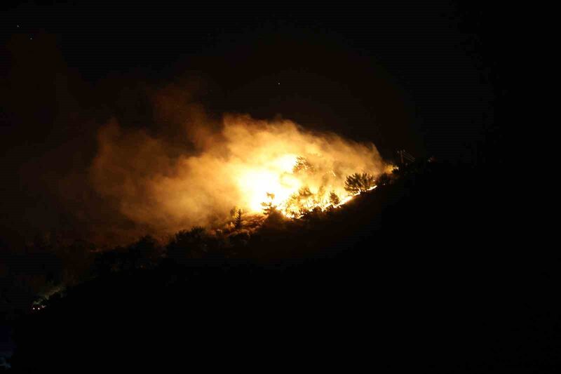 HATAY’DA ÇIKAN ORMAN YANGININA