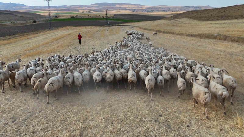 TARIM VE HAYVANCILIĞIN MERKEZİ