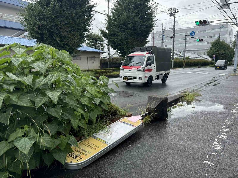 JAPONYA'DA AMPİL TAYFUNU NEDENİYLE