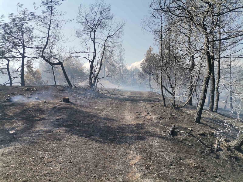 KAHRAMANMARAŞ'IN ONİKİŞUBAT İLÇESİ KÜRTÜL