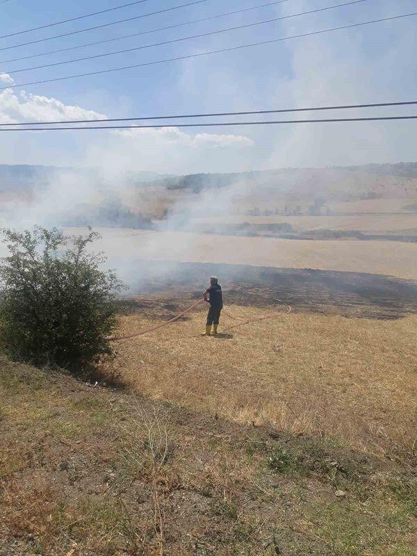 Kastamonu’da çıkan arazi yangınında 2 dekar alan zarar gördü