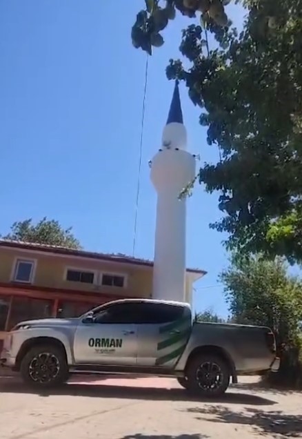 KASTAMONU ORMAN BÖLGE MÜDÜRLÜĞÜ'NE