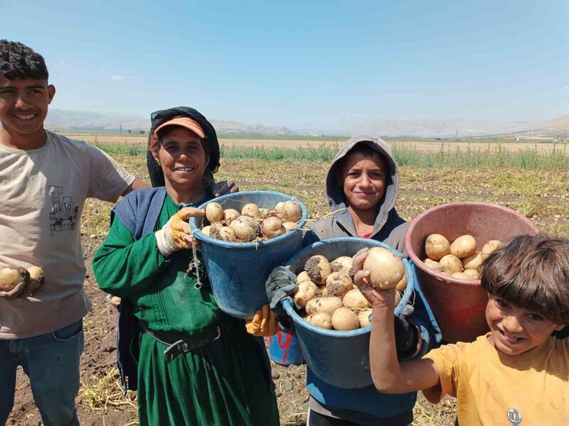 AFYONKARAHİSAR'IN ŞUHUT İLÇESİNDE 15